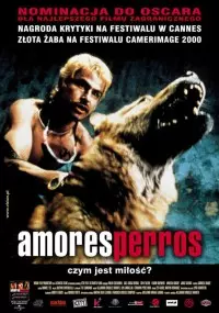 Amores perros - thumbnail, okładka