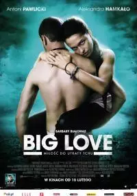 Big Love - thumbnail, okładka