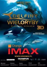 Delfiny i wieloryby 3D. Plemiona oceanów - thumbnail, okładka