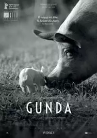 Gunda - thumbnail, okładka