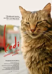 Kedi - sekretne życie kotów - thumbnail, okładka