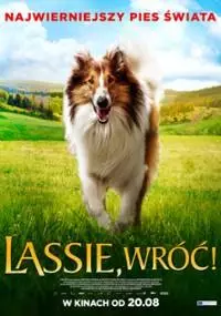 Lassie, wróć! - thumbnail, okładka