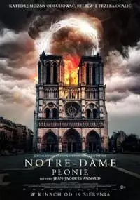 Notre-Dame płonie - thumbnail, okładka