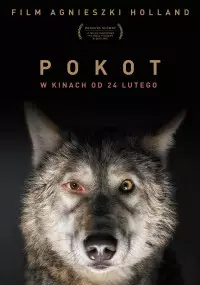 Pokot - thumbnail, okładka