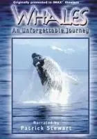 Świat wielorybów (IMAX 2D) - thumbnail, okładka
